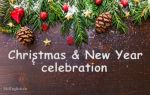 Christmas: Как празднуют Рождество в Великобритании и США. Как отмечают Новый год в Америке