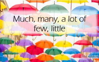 Much many a lot of, few little — количественные местоимения в английском языке (Quantifiers)