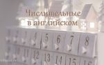 Числительные в английском языке (Numerals in English): числа на английском