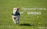 Фразовый глагол Bring: формы глагола, использование с предлогами (up, in, out, off), значения и перевод