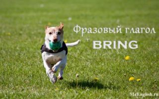 Фразовый глагол Bring: формы глагола, использование с предлогами (up, in, out, off), значения и перевод