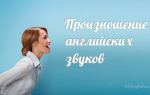 Звуки английского языка  — English sounds. Речевой аппарат
