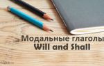 Модальные глаголы Will, Shall: разница между ними, употребление, значения и примеры