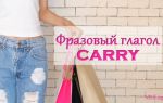 Фразовый глагол Carry: перевод на русский, carry on, out, off — использование с предлогами