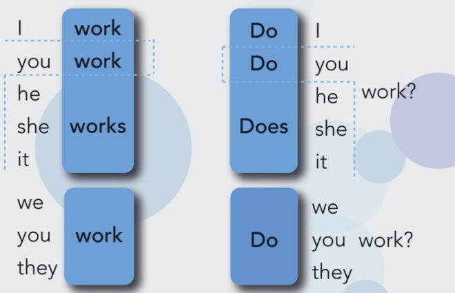 present simple questions