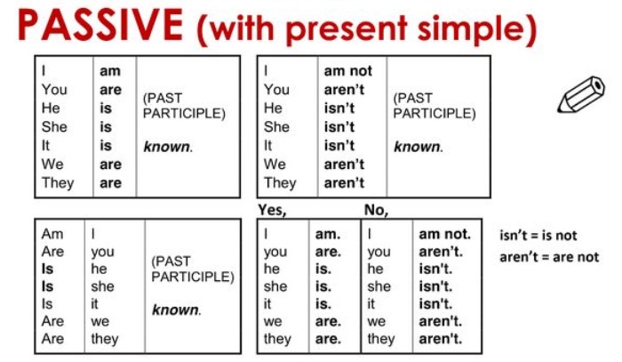 passive present simple