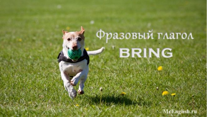 bring phrasal verbs