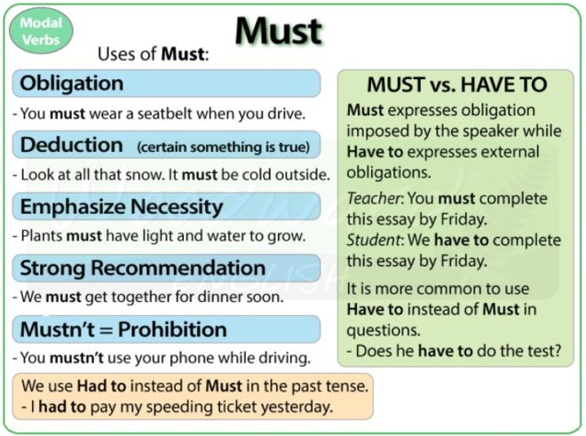 uses of have to