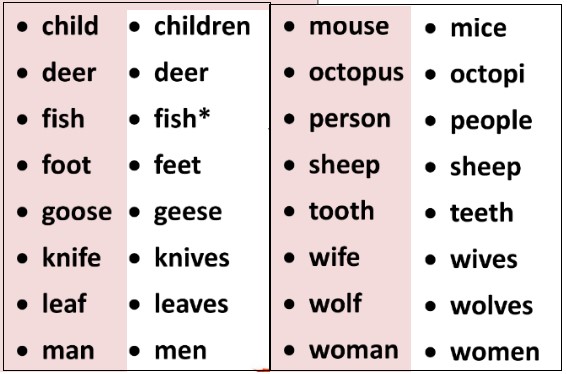 irregular plural nouns