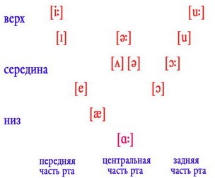 гласные переднего ряда